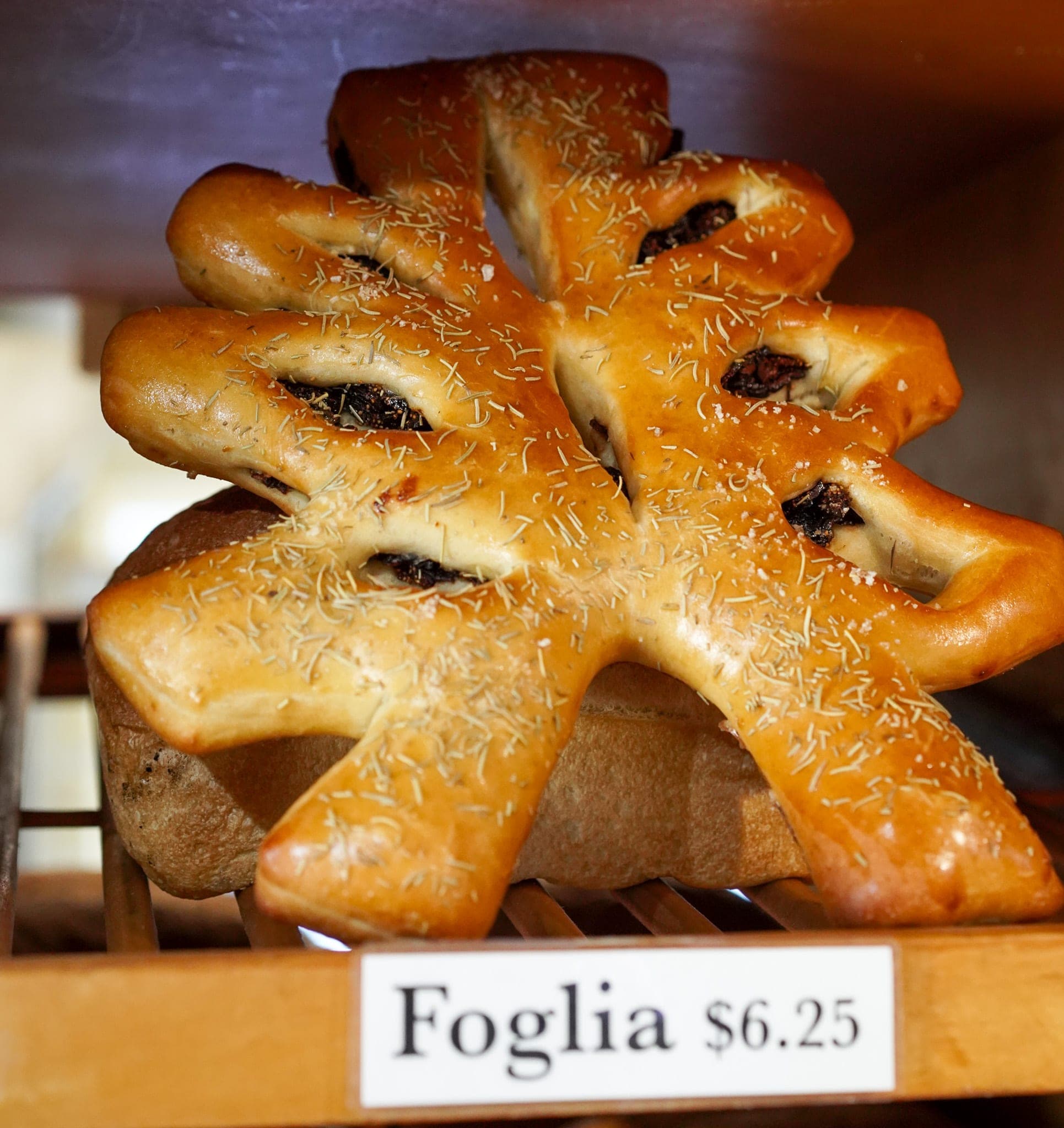 Foglia