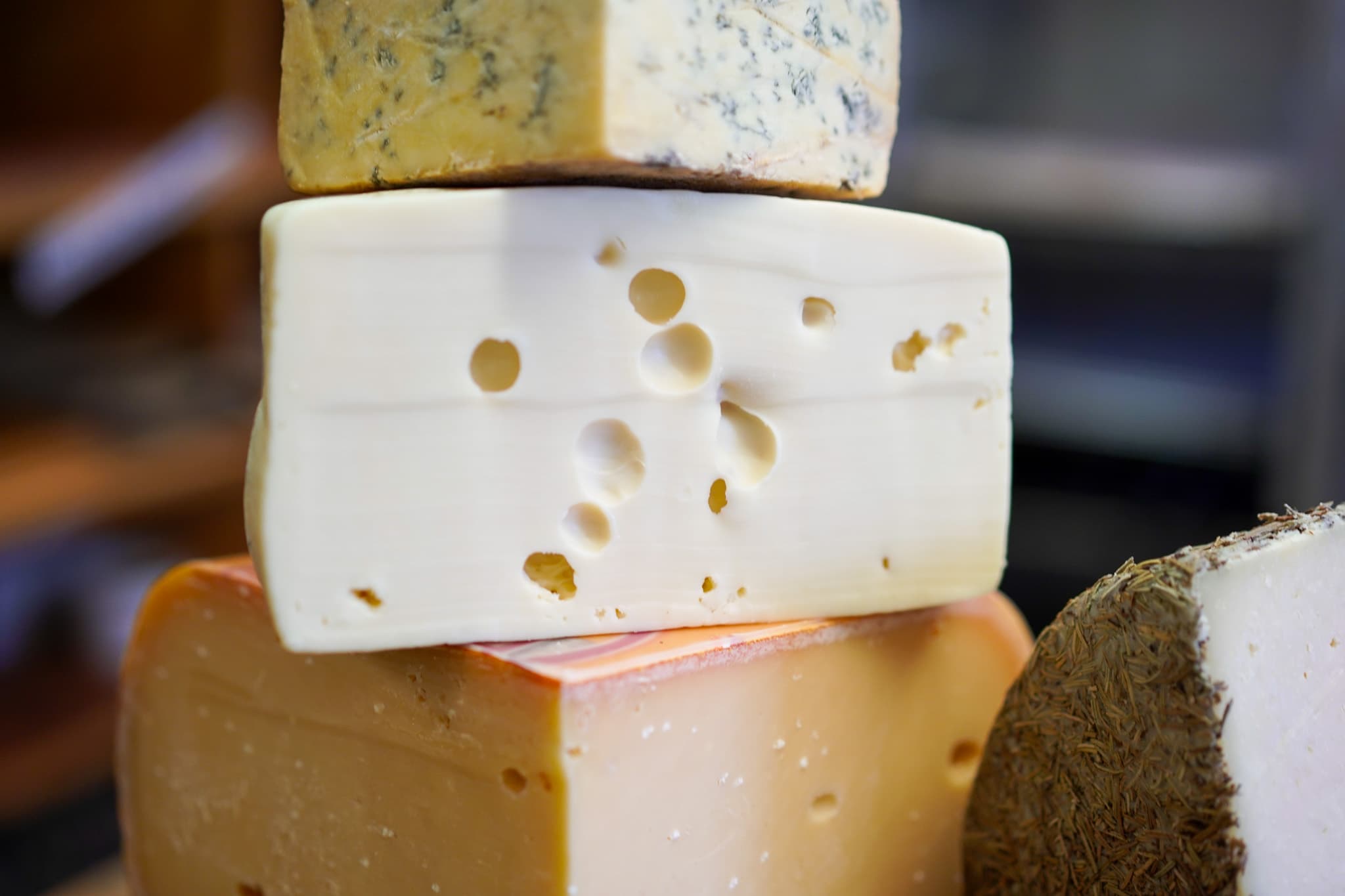 Aged Provolone